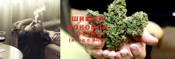 индика Алексин
