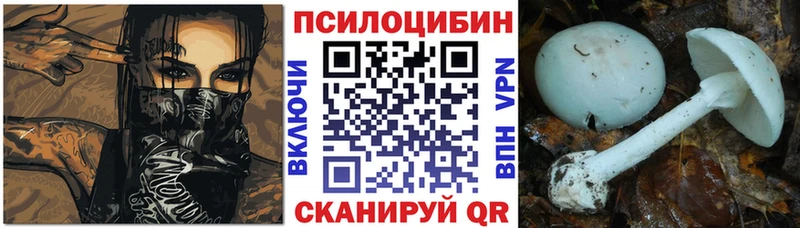 Псилоцибиновые грибы Magic Shrooms  Болотное 